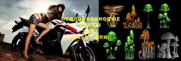 не бодяженный Алексин