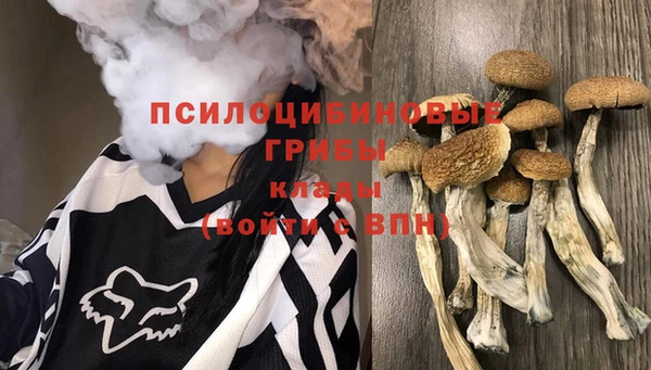 скорость Алексеевка