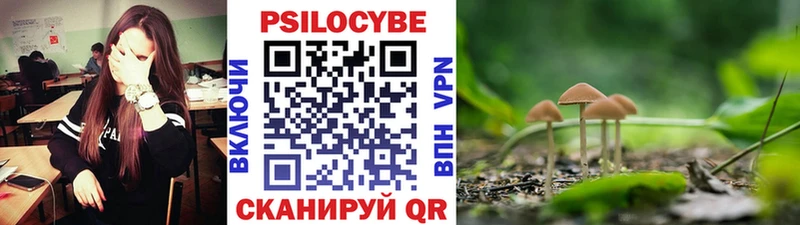 купить наркотик  гидра маркетплейс  Галлюциногенные грибы Psilocybine cubensis  Пенза 